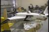 deadcockroach_small.jpg