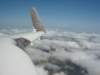 n111vx_abovetheclouds_small.jpg